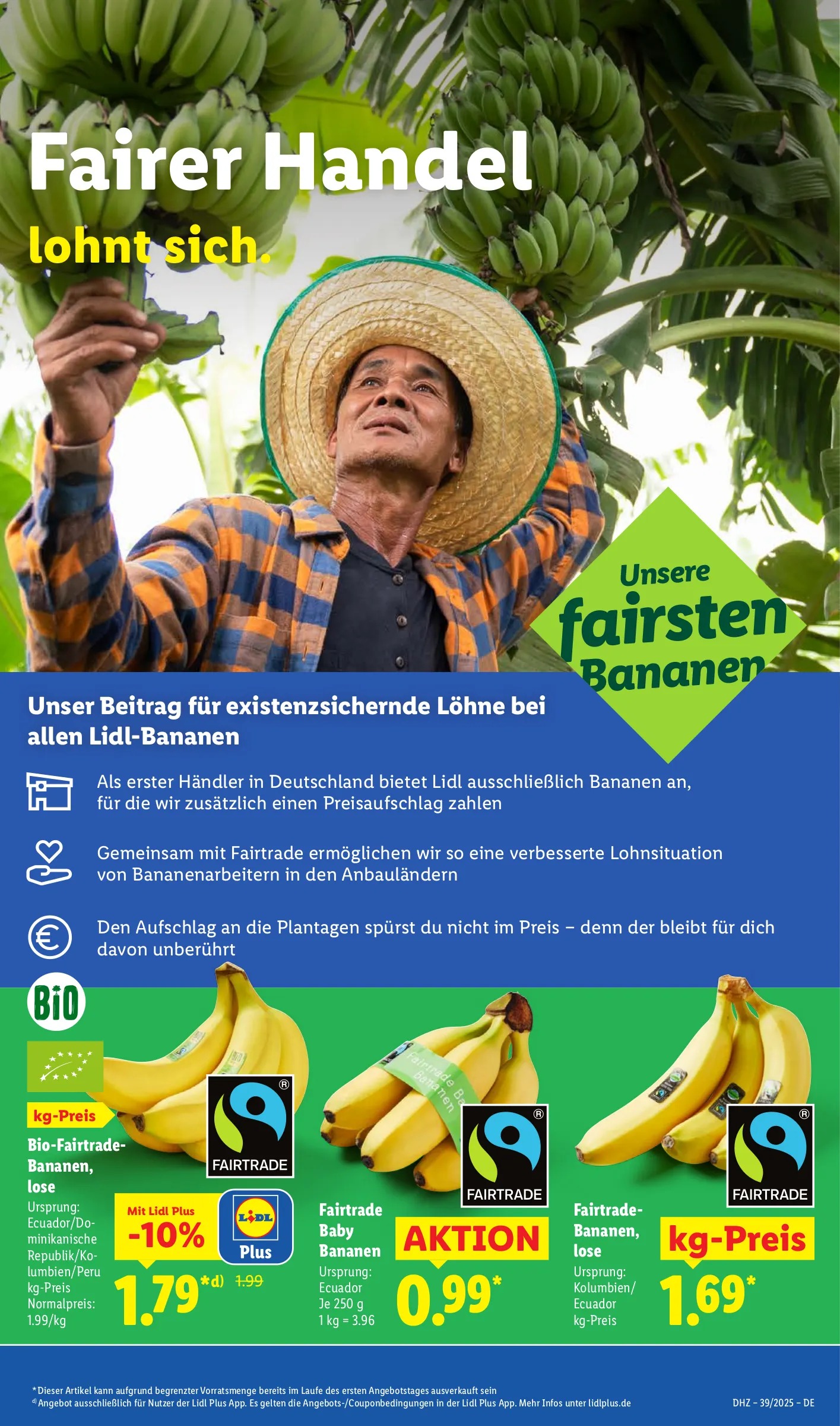 lidl prospekt 11 2