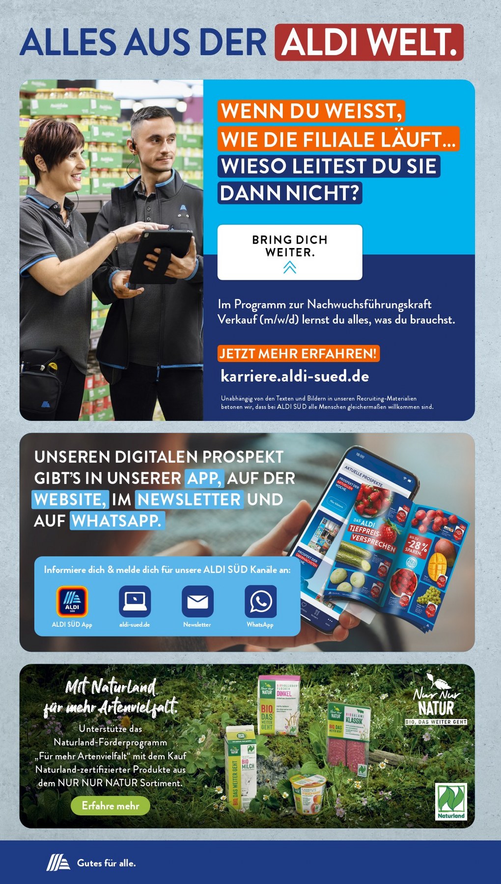 aldi sud prospekt 31