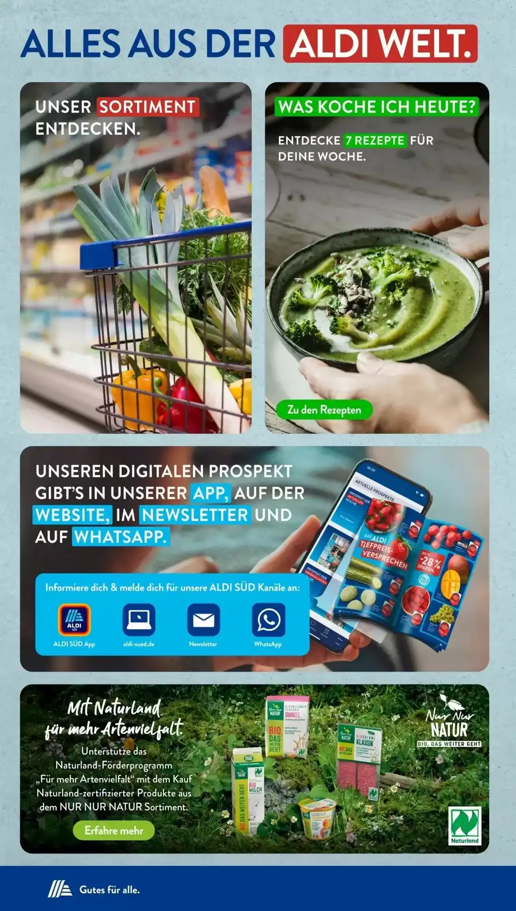 aldi sud prospekt 26