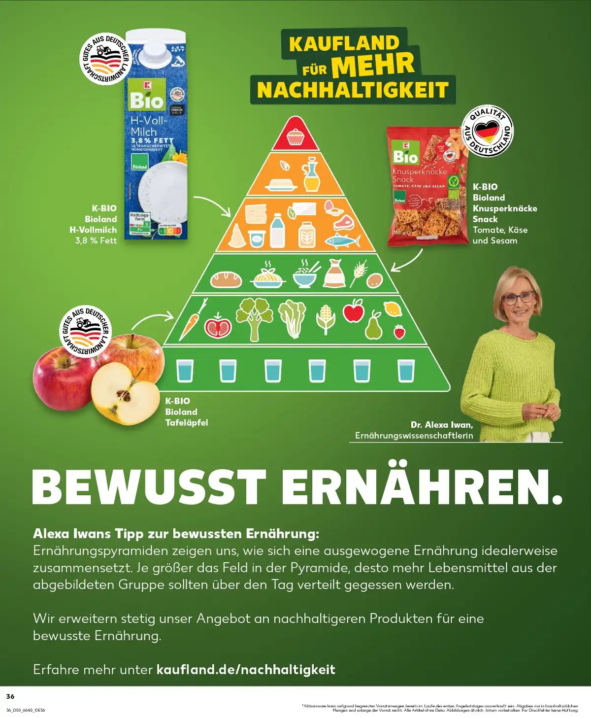 kaufland prospekt 36