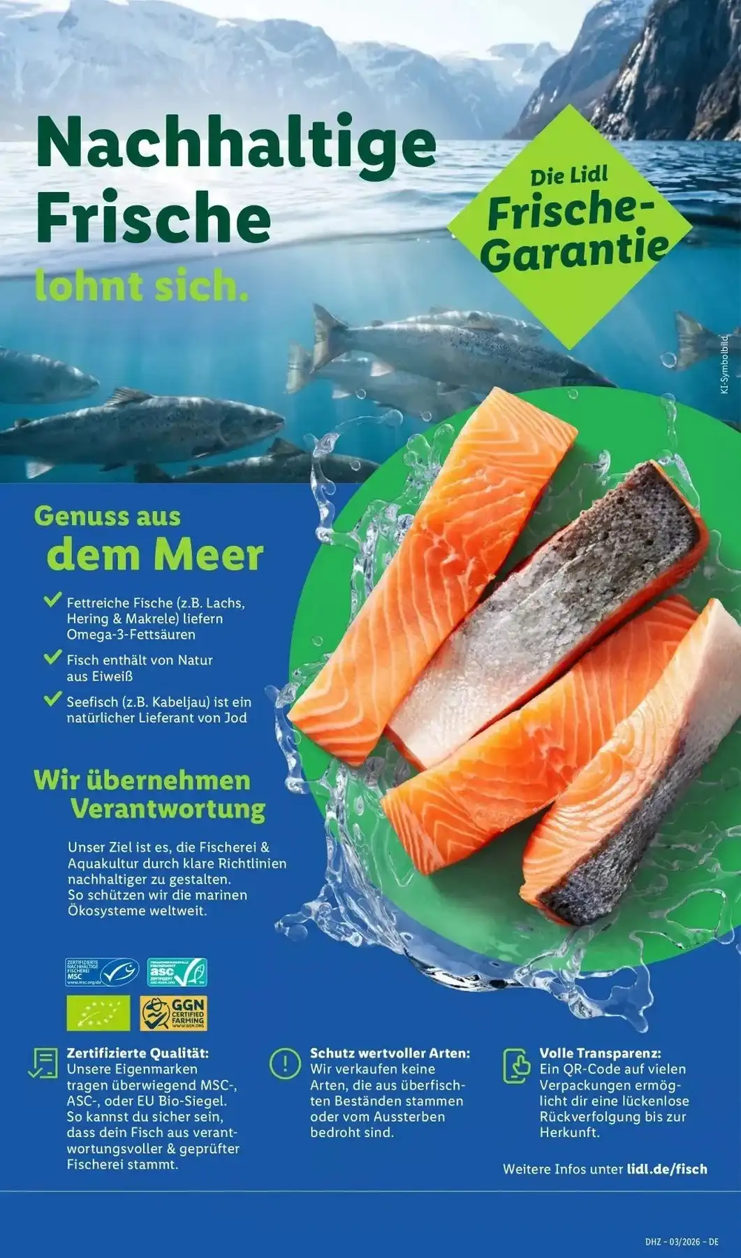 lidl prospekt 12 17 57