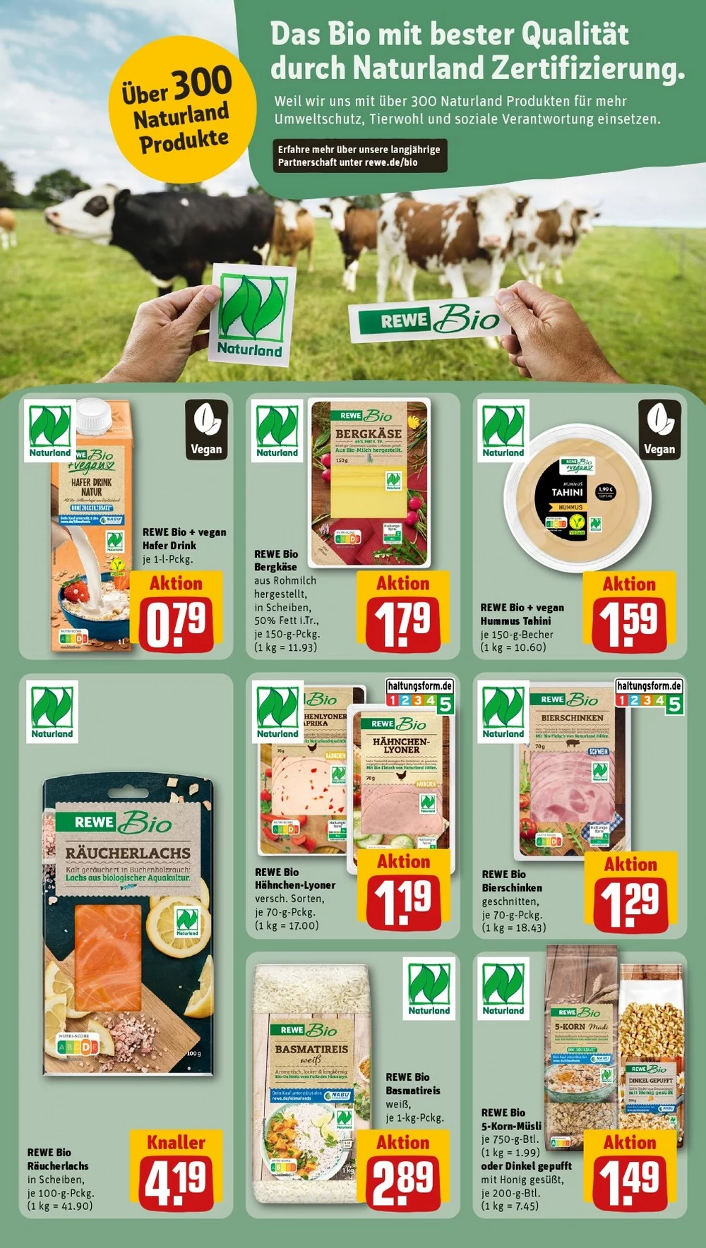 rewe prospekt januar 5 11 12