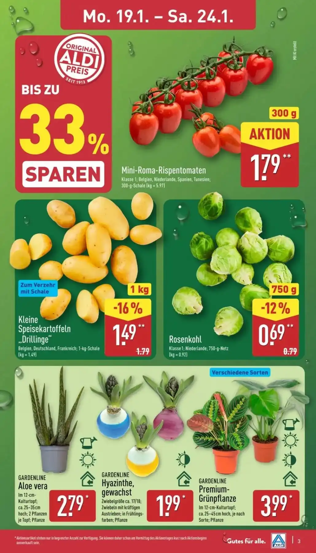 aldi nord prospekt 3