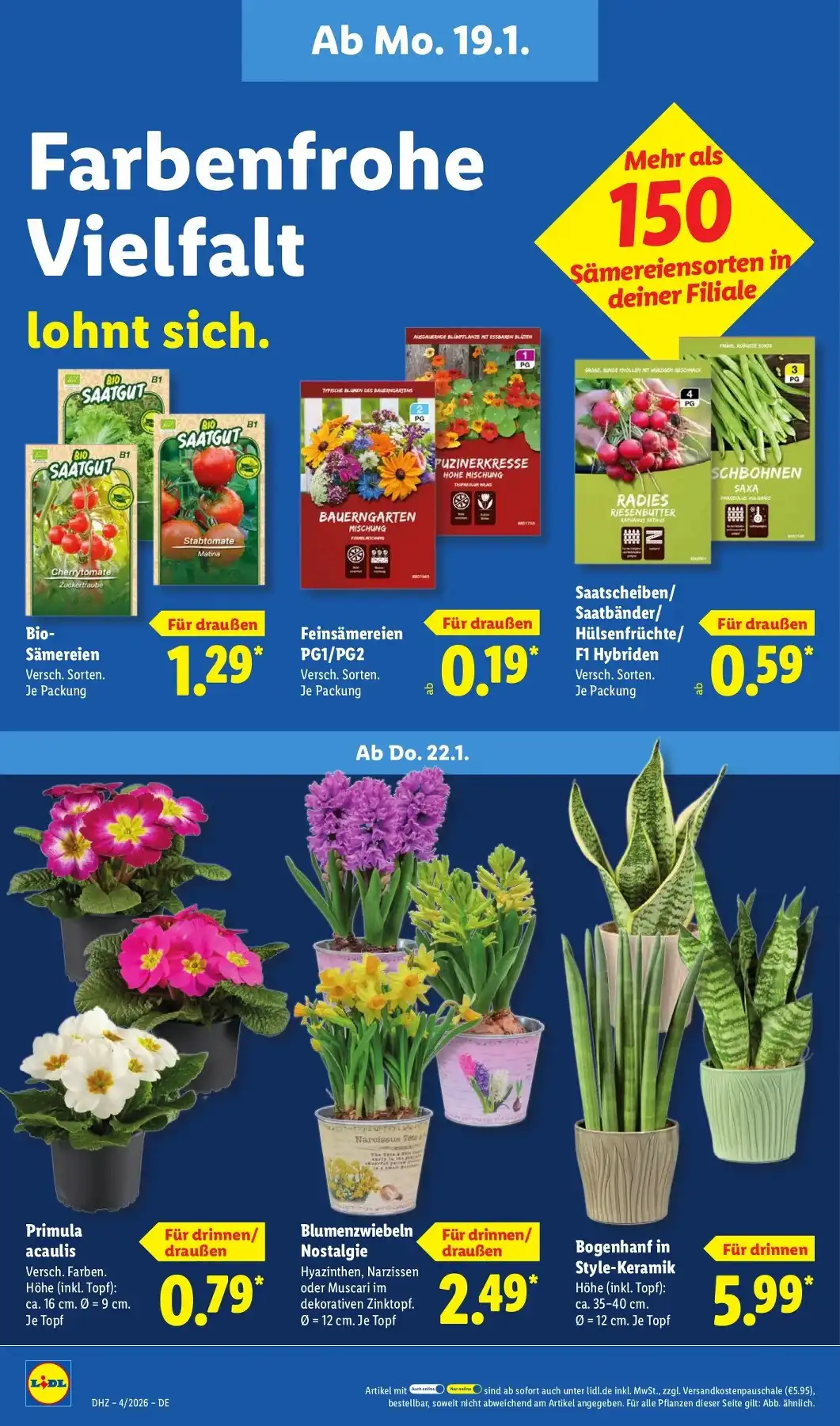 lidl prospekt 19 24 60