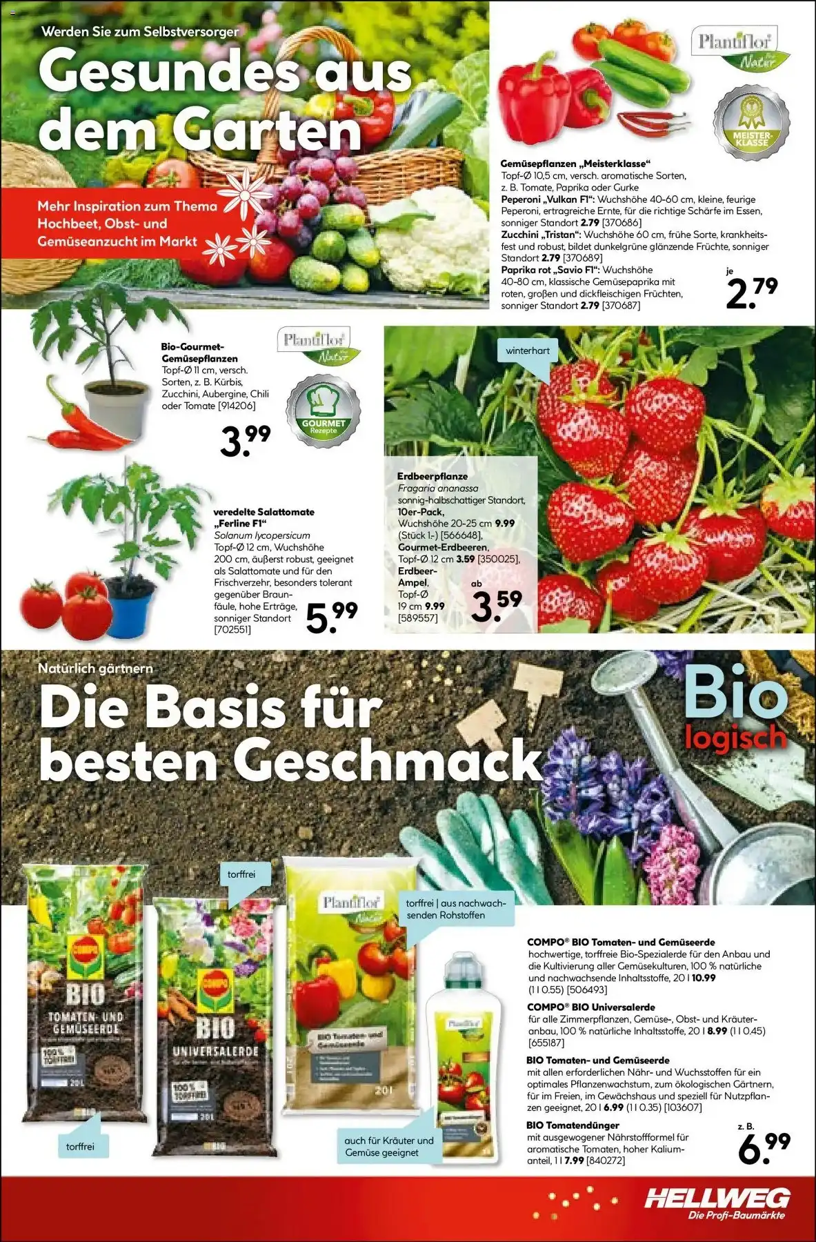 Hellweg Weihnachten Angebote - Seite