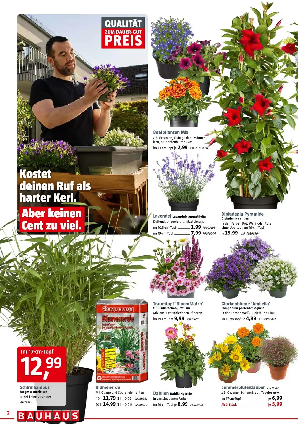 Bauhaus Weihnachten Prospekt Angebote - Seite