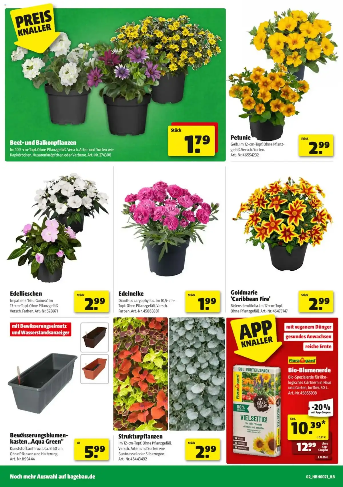 Hagebau Weihnachten Prospekt Angebote - Seite