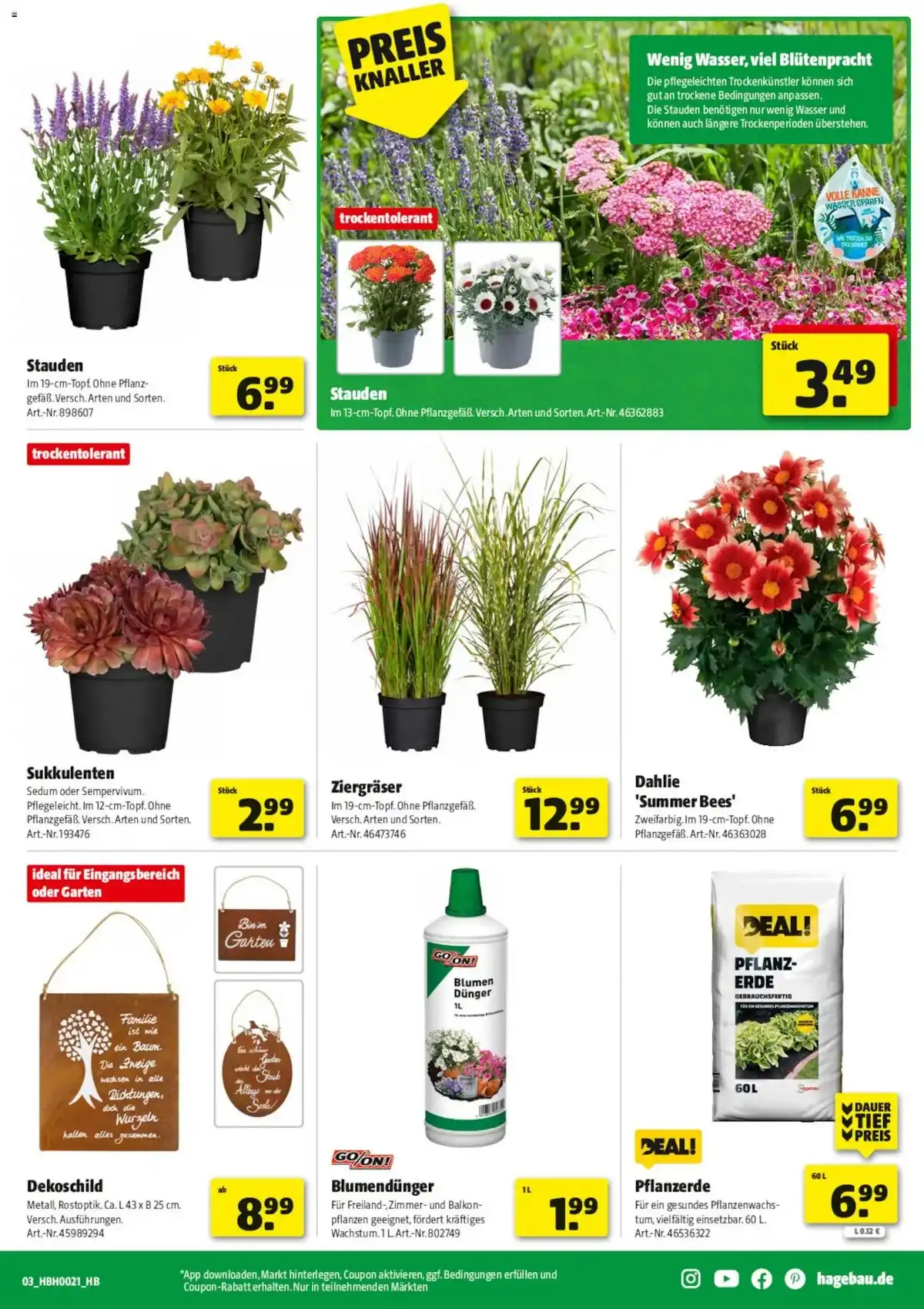 Hagebau Weihnachten Prospekt Angebote - Seite