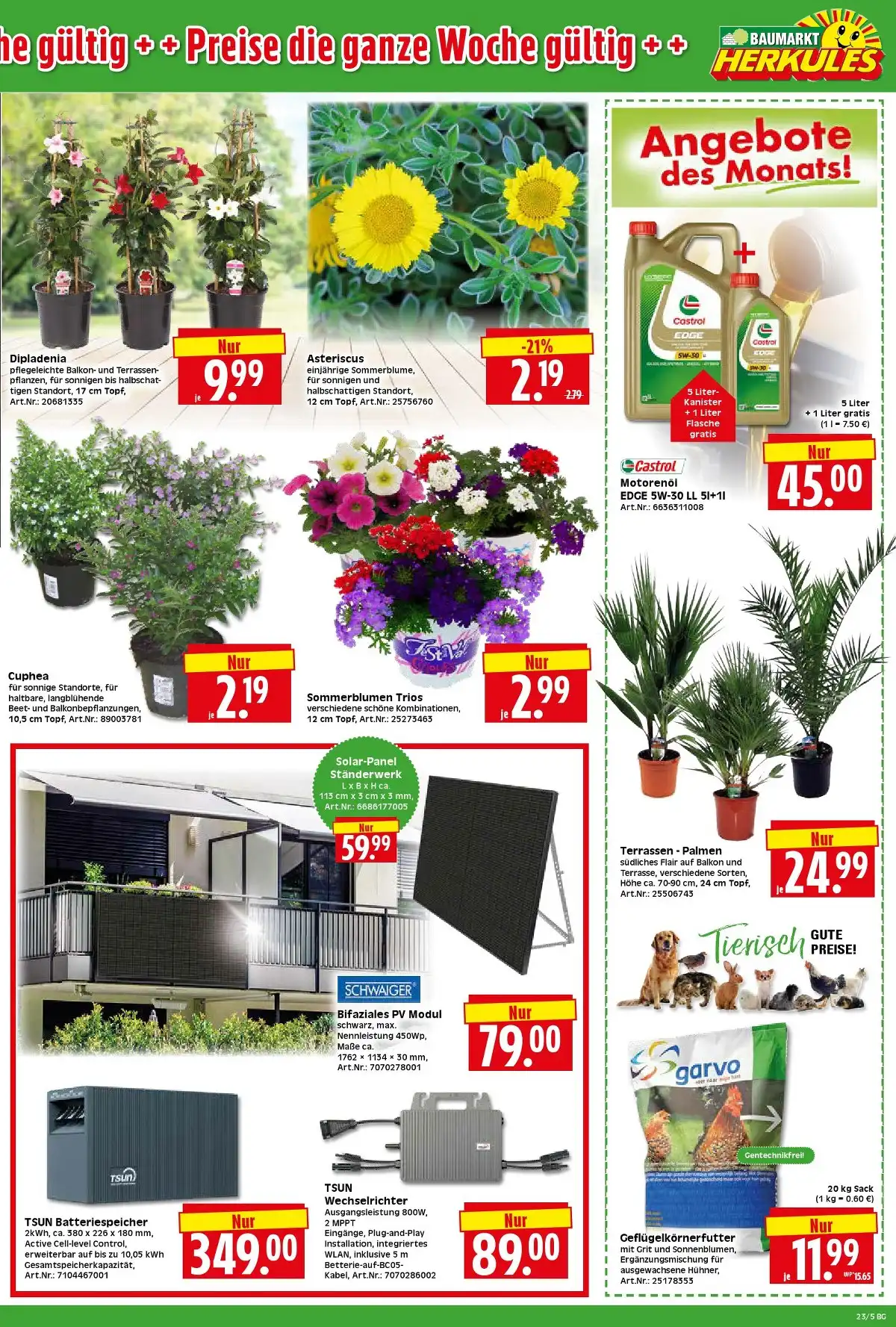 Baumarkt Ab 01.06