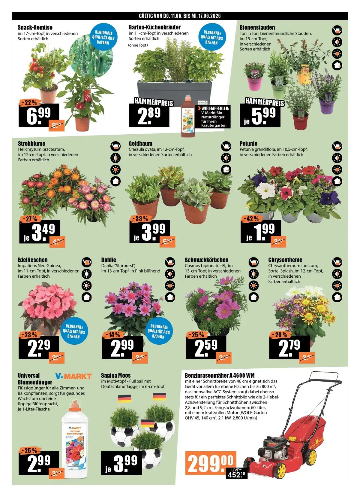 V-Baumarkt Weihnachten Prospekt Angebote - Seite