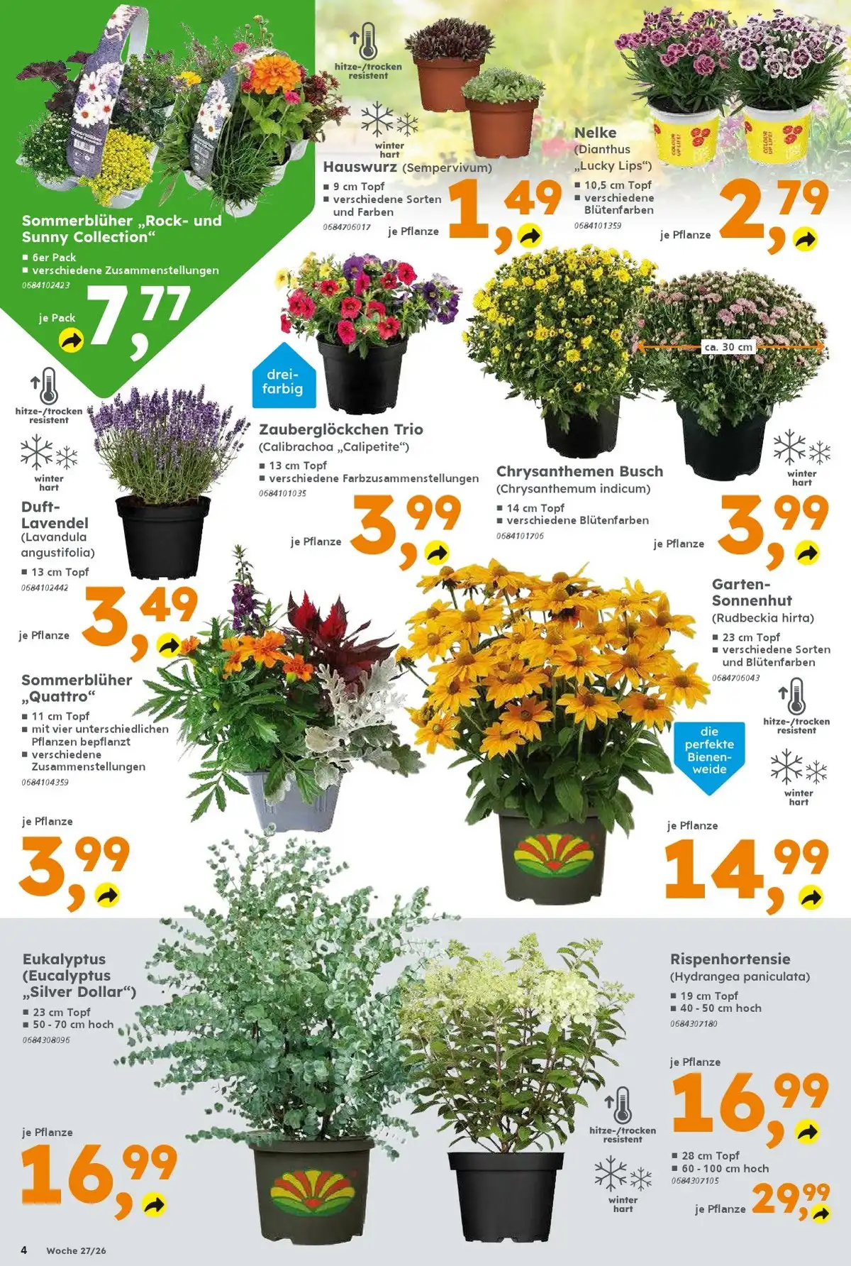 Baumarkt Ab 29.06