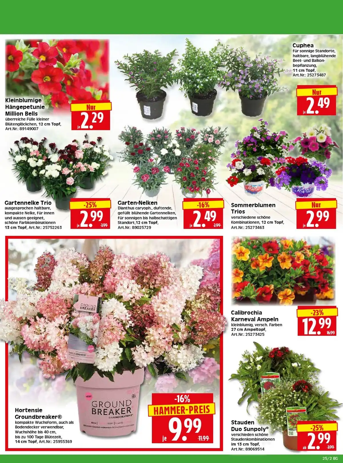 Herkules Baumarkt Black Friday Prospekt Angebote - Bild 2 Herkules Baumarkt Black Friday Prospekt Angebote - Seite