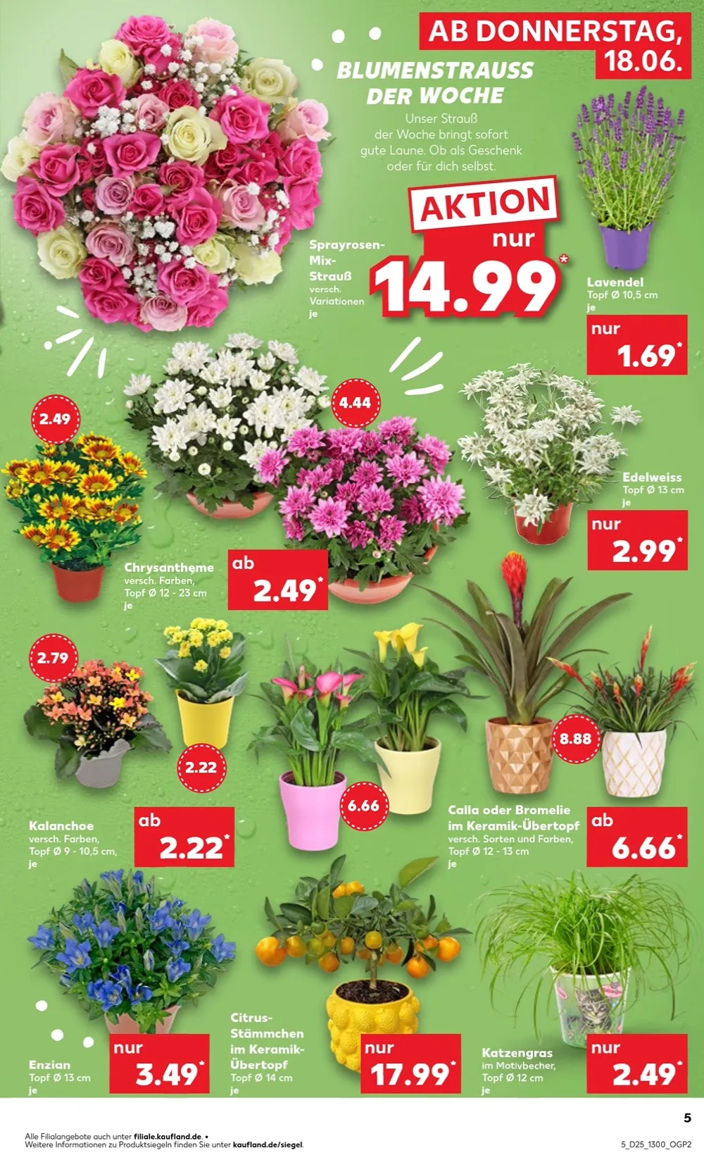 Kaufland Prospekt 18.06.2026 Bis 24.06.2026 - Bild 3 Ab 18.06.2026