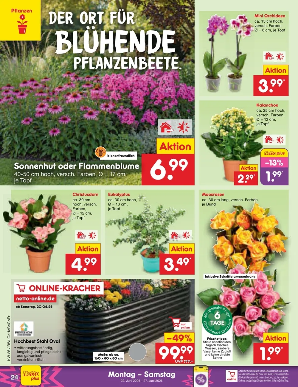 Ab 22.06.2026