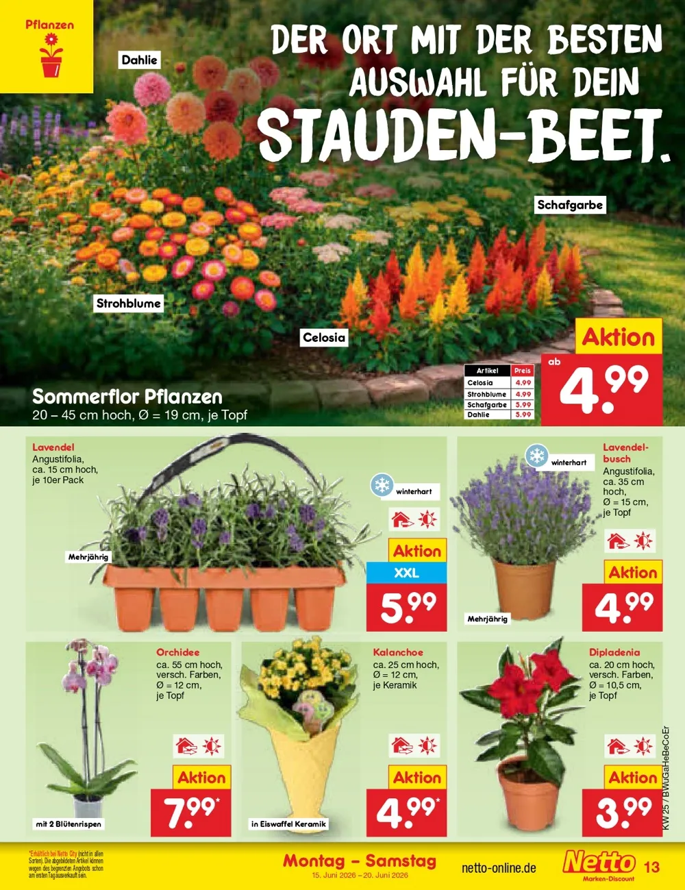 Ab 15.06.2026