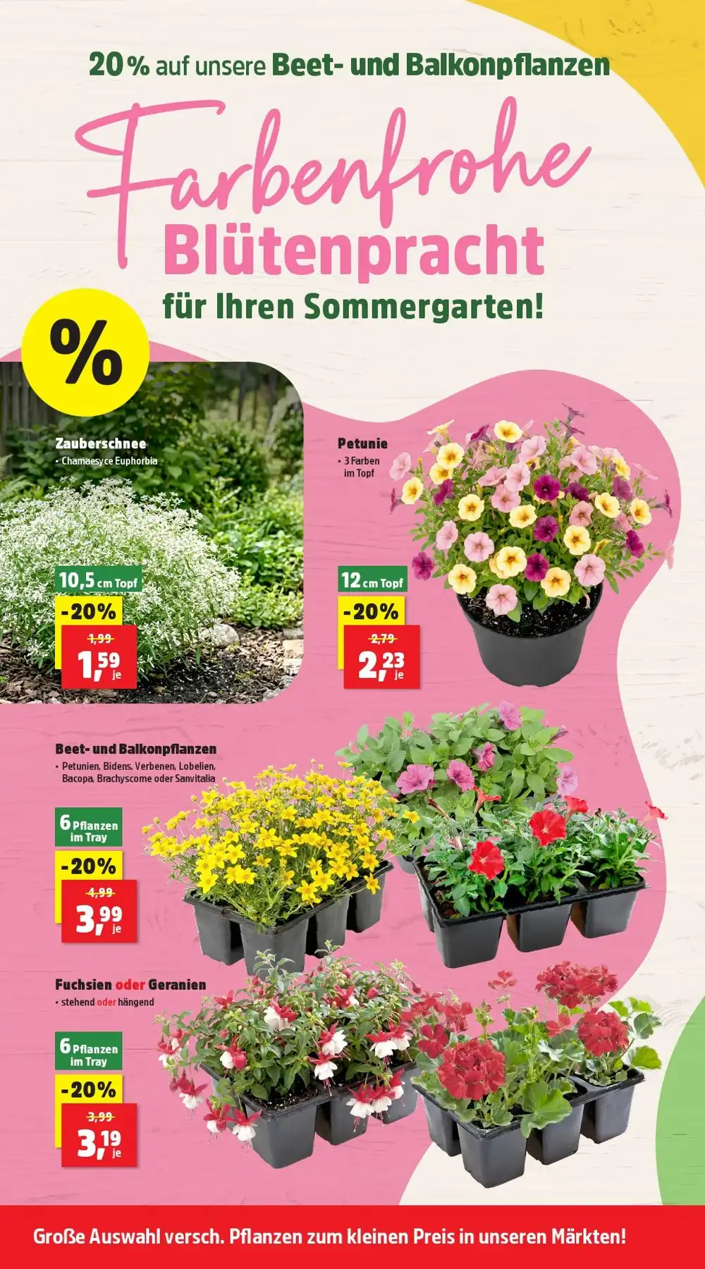 Thomas Philipps Prospekt Ab 15.06.2026 Bis 20.06.2026 Nächste Woche - Bild 4 Ab 08.06.2026
