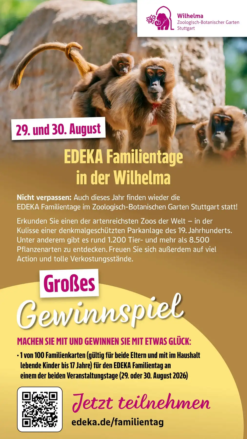 Edeka Prospekt Ab 13.07.2026 Bis 18.07.2026 Nächste Woche - Bild 1 Südwest Ab 06.07.2026