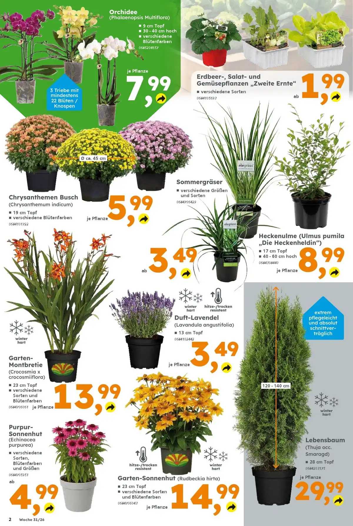Globus Baumarkt Prospekt Ab 27.07.2026 Bis 01.08.2026 Nächste Woche - Bild 2 Ab 27.07.2026