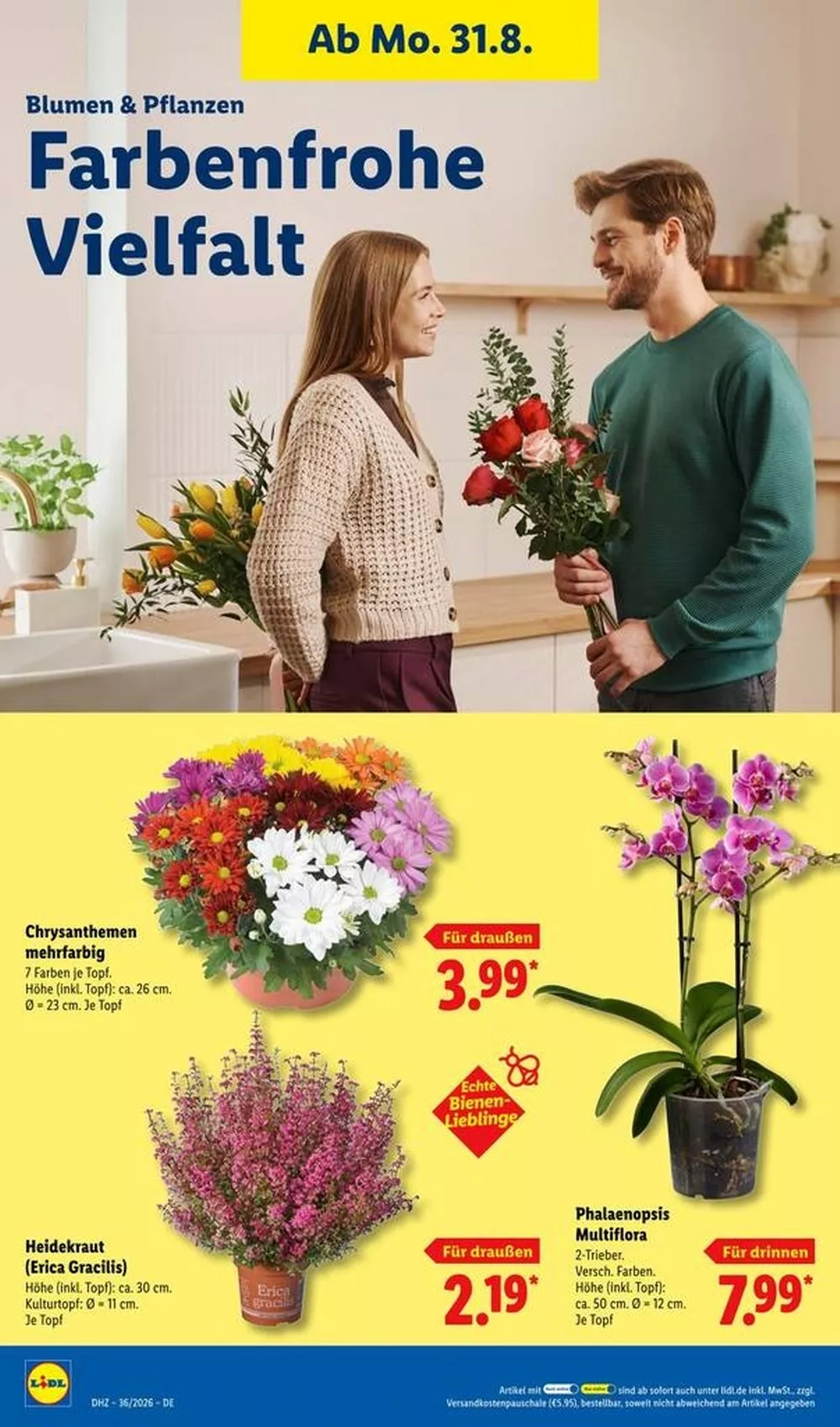 Lidl Prospekt Gültig Vom 31.08.2026 Bis 05.09.2026 Nächste Woche - Bild 6 Ab 31.08.2026