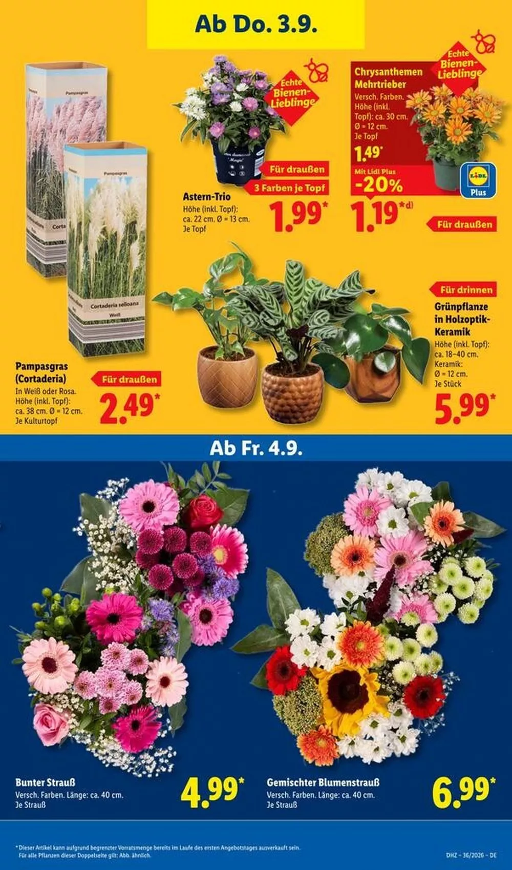 Lidl Prospekt Gültig Vom 31.08.2026 Bis 05.09.2026 Nächste Woche - Bild 1 Ab 31.08.2026