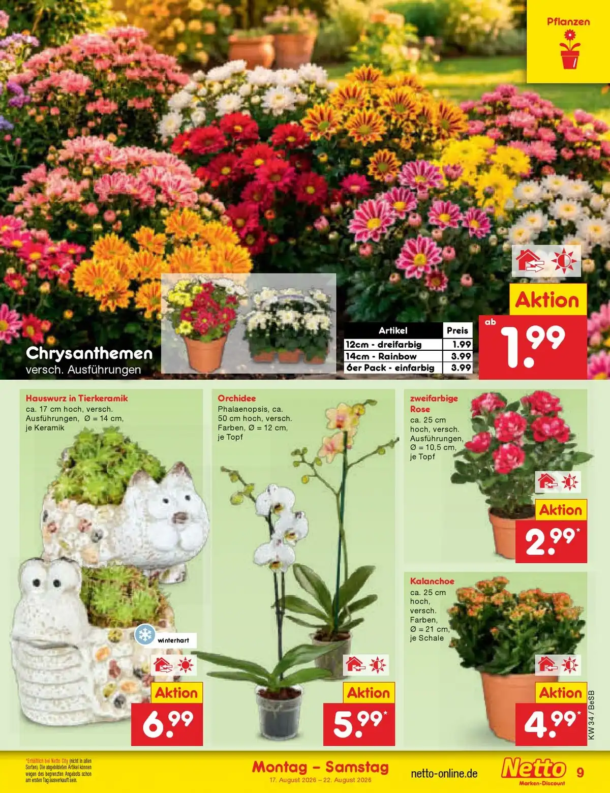 Netto Marken-Discount Prospekt Ab 17.08.2026 Bis 22.08.2026 Nächste Woche - Bild 3 Ab 17.08.2026
