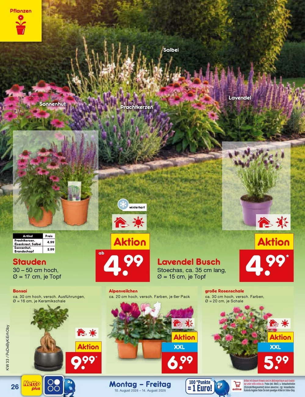 Netto Marken Discount Prospekt 10.08.2026 Bis 15.08.2026 - Bild 4 Ab 10.08.2026
