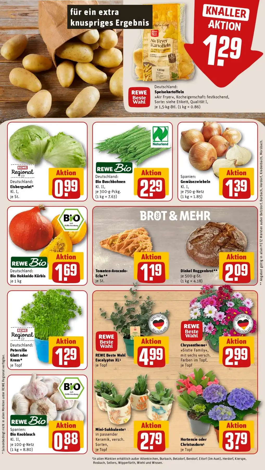 Rewe Petz Prospekt Angebote Ab 31.08.2026 Bis 05.09.2026 Nächste Woche - Bild 1 Ab 24.08.2026