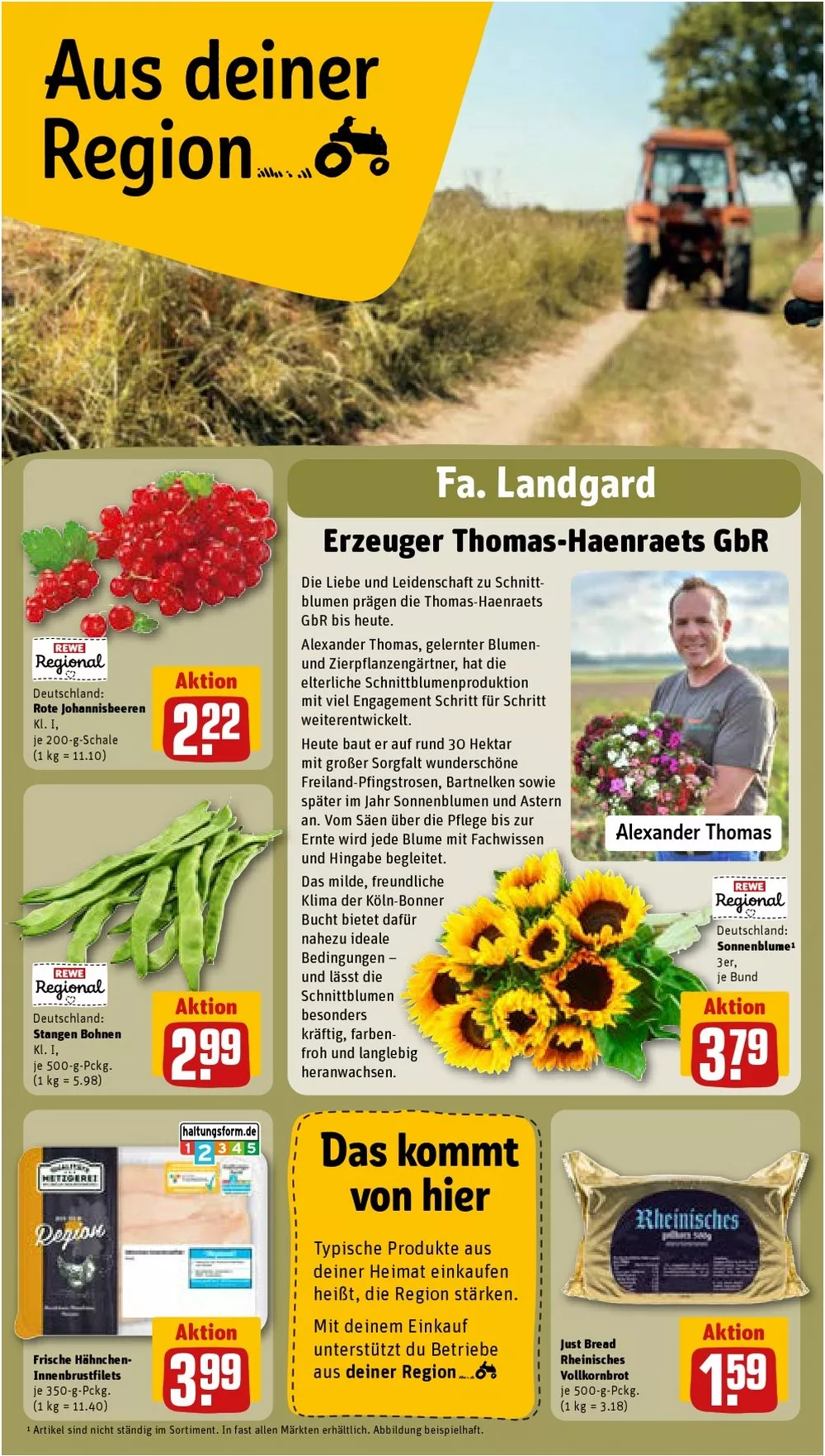 Ab 24.08.2026