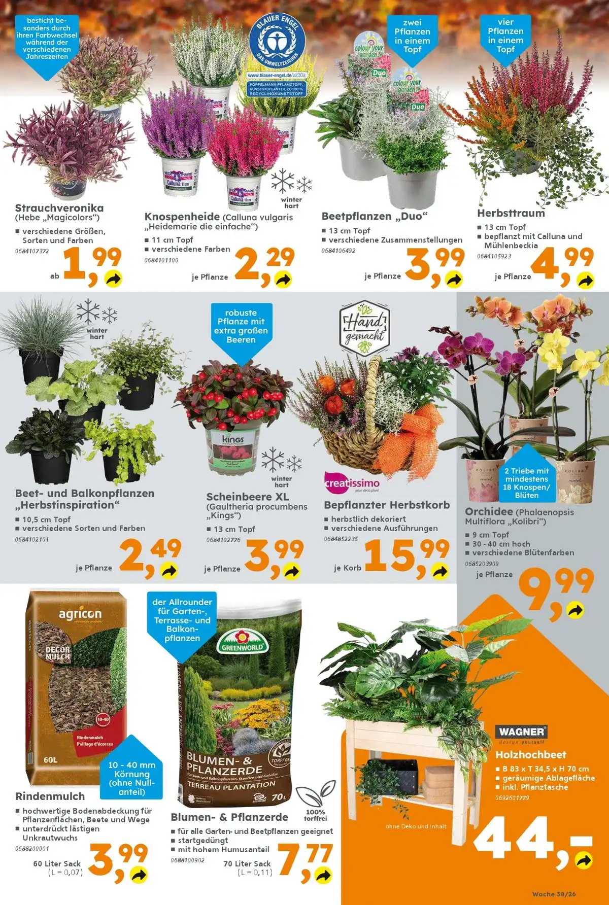 Globus Baumarkt Prospekt Ab 21.09.2026 Bis 26.09.2026 Nächste Woche - Bild 2 Globus Baumarkt