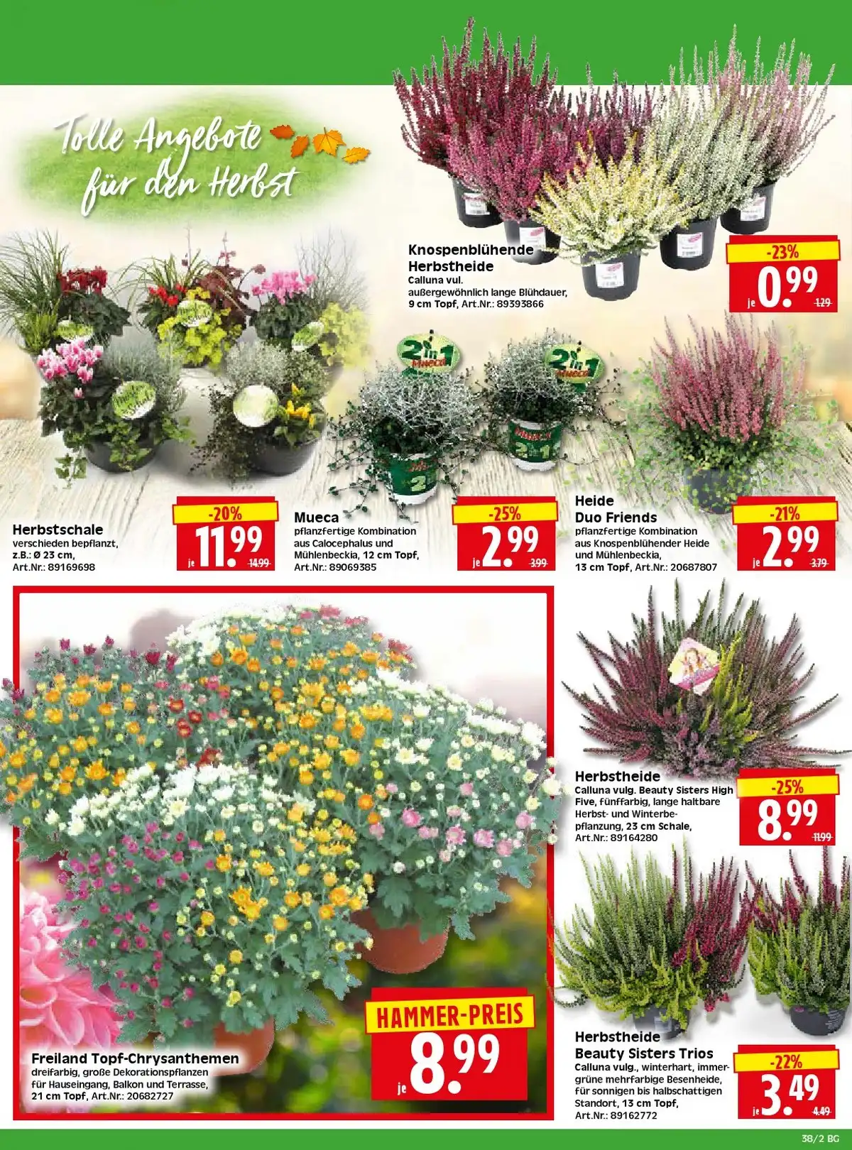Herkules Baumarkt Prospekt Ab 14.09.2026 Bis 19.09.2026 - Bild 2 Ab 14.09.2026
