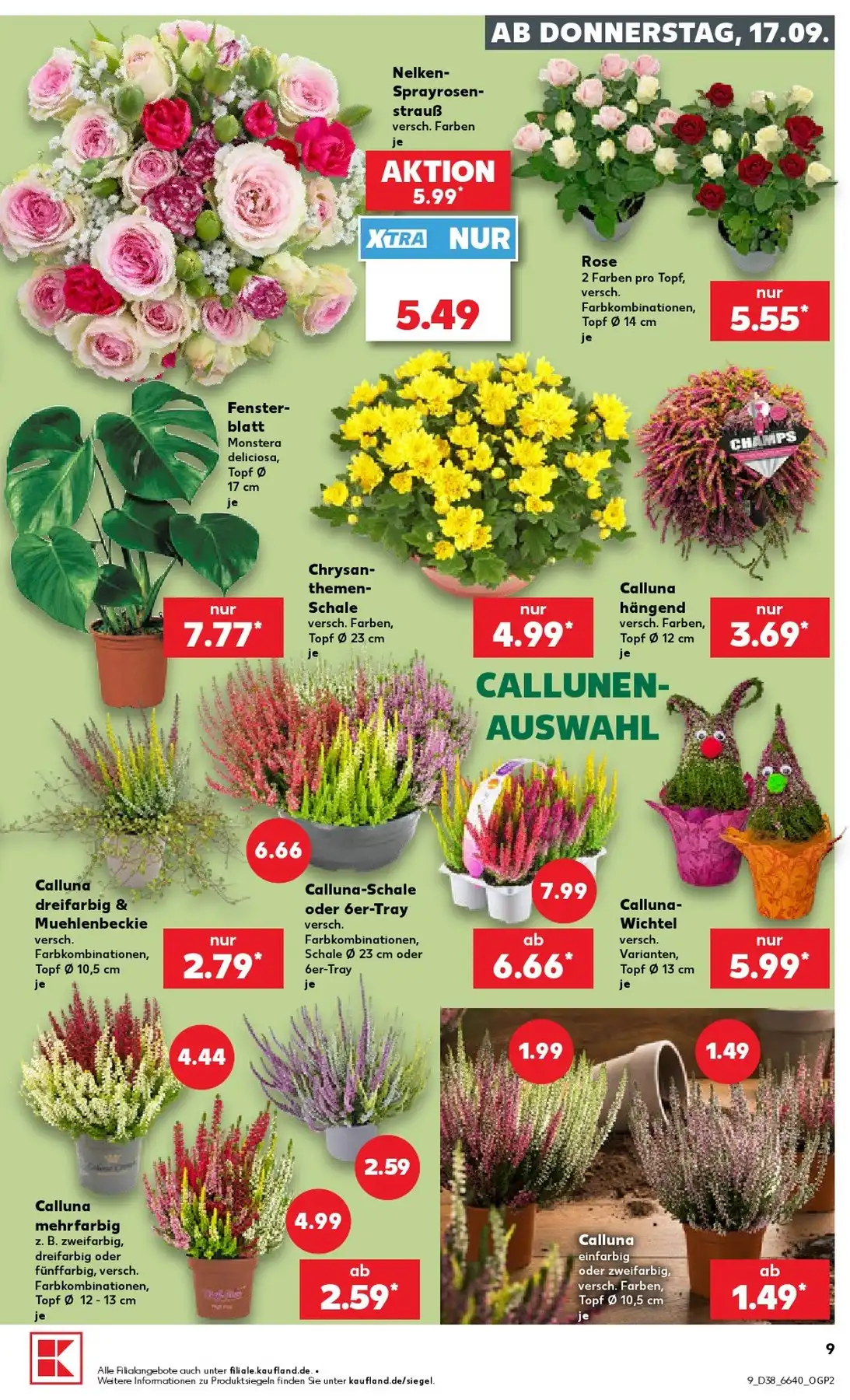 Kaufland Prospekt 17.09.2026 Bis 23.09.2026 - Bild 1 Ab 17.09.2026