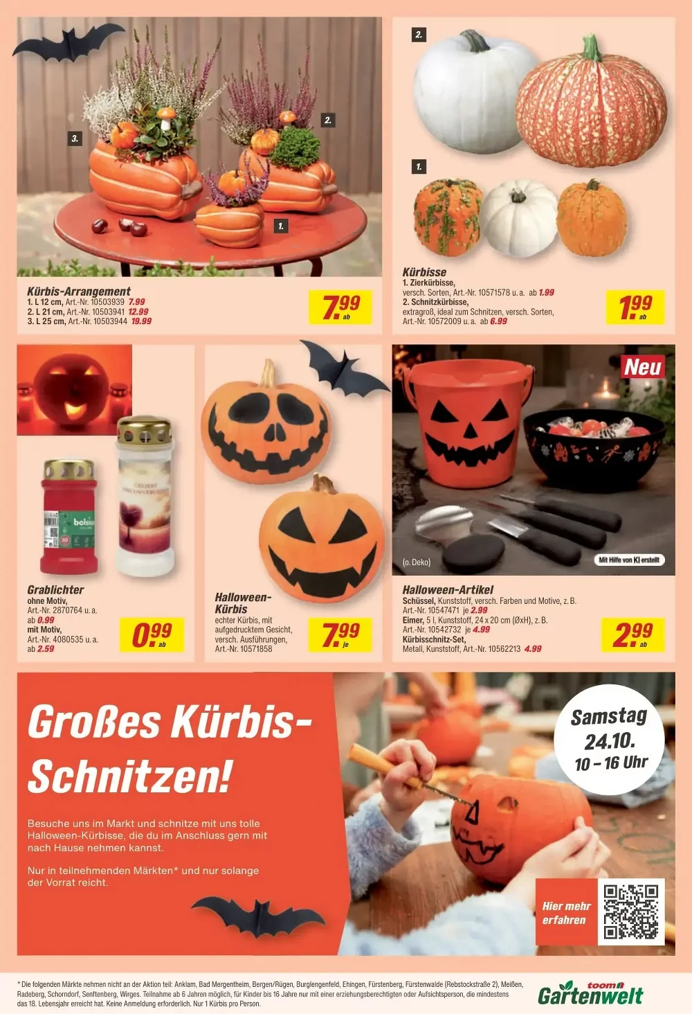 Toom Baumarkt Prospekt Ab 12.10.2026 Bis 24.10.2026 - Bild 3 Ab 12.10.2026